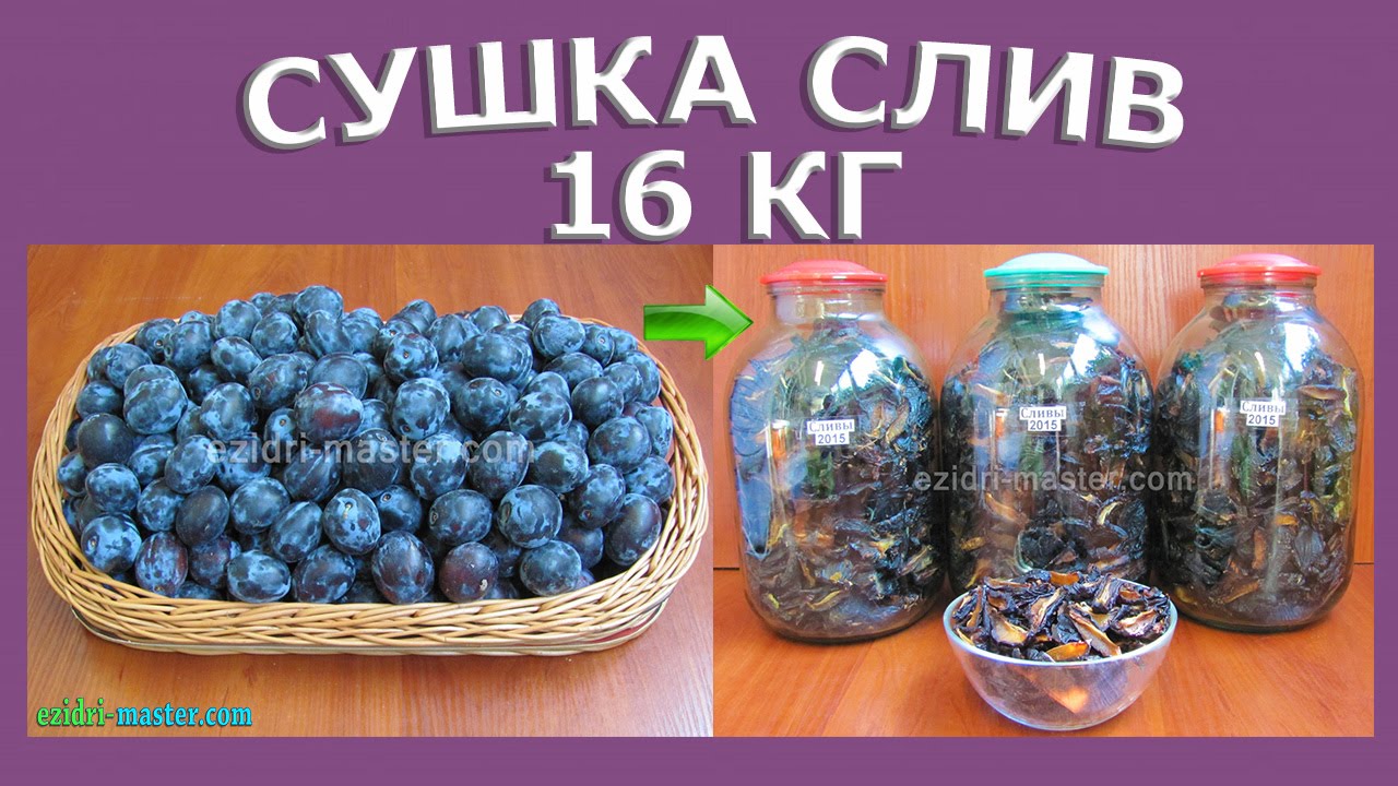 Сушка слив – 16 кг