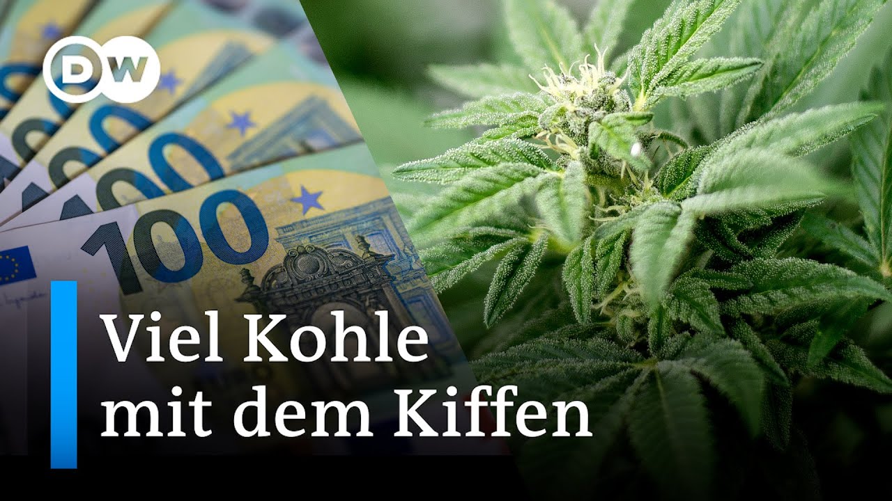Was die Freigabe von Cannabis wirtschaftlich bedeutet | DW Nachrichten