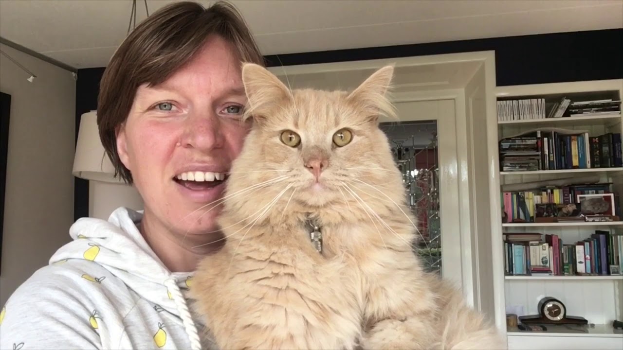 Introvlog Mariët Krabbelt Op waarin ze vertelt over haar leven met een bipolaire stoornis en autisme