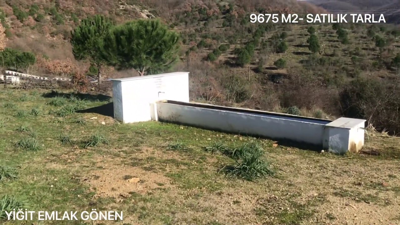 Hayvancılığa ya da Tarıma Uygun 9675 M2 Satılık Tarla Balıkesir Gönen’de Yiğit Emlaktan 217.000₺