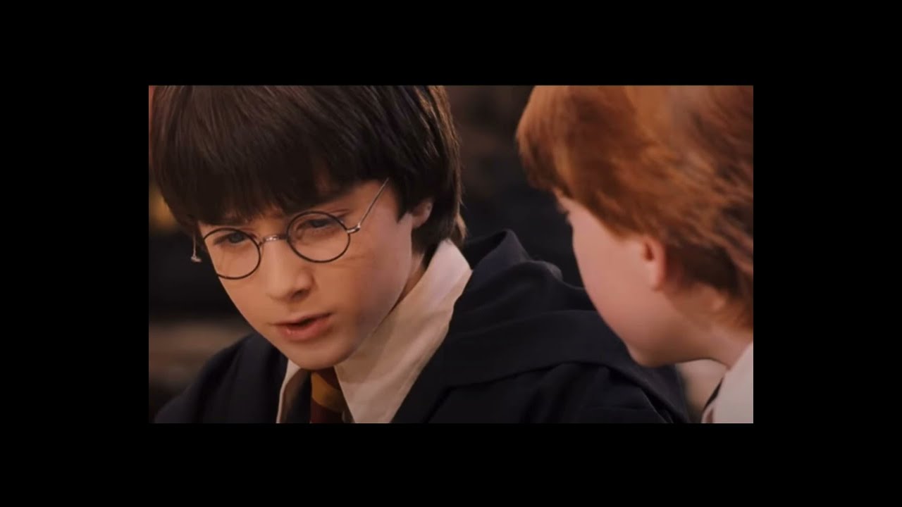 the potions master