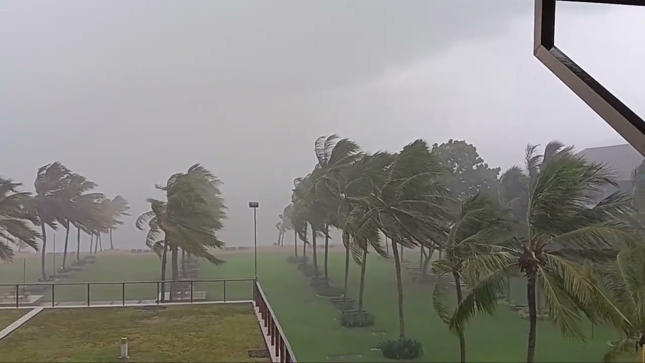 Tropical Storm