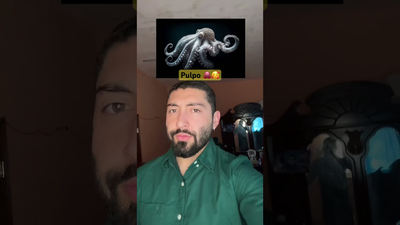 ANIMALES ANTES Y DESPU&Eacute;S DE UNNATURAL HABITAT🪼😨 #shorts