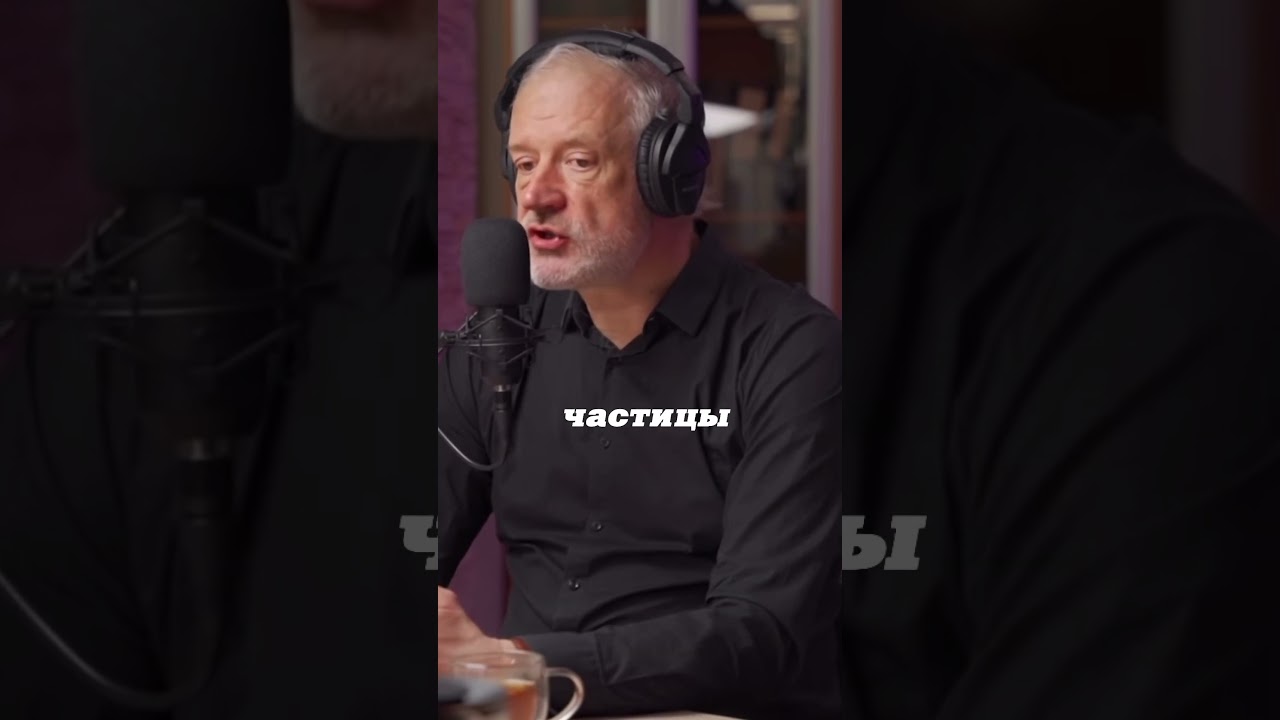 Алексей Семихатов. Элементарные частицы. #наука #science #short