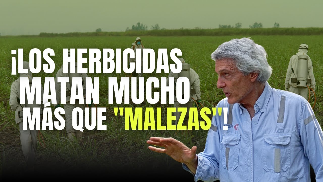 ¡LOS HERBICIDAS MATAN MUCHO MÁS QUE 