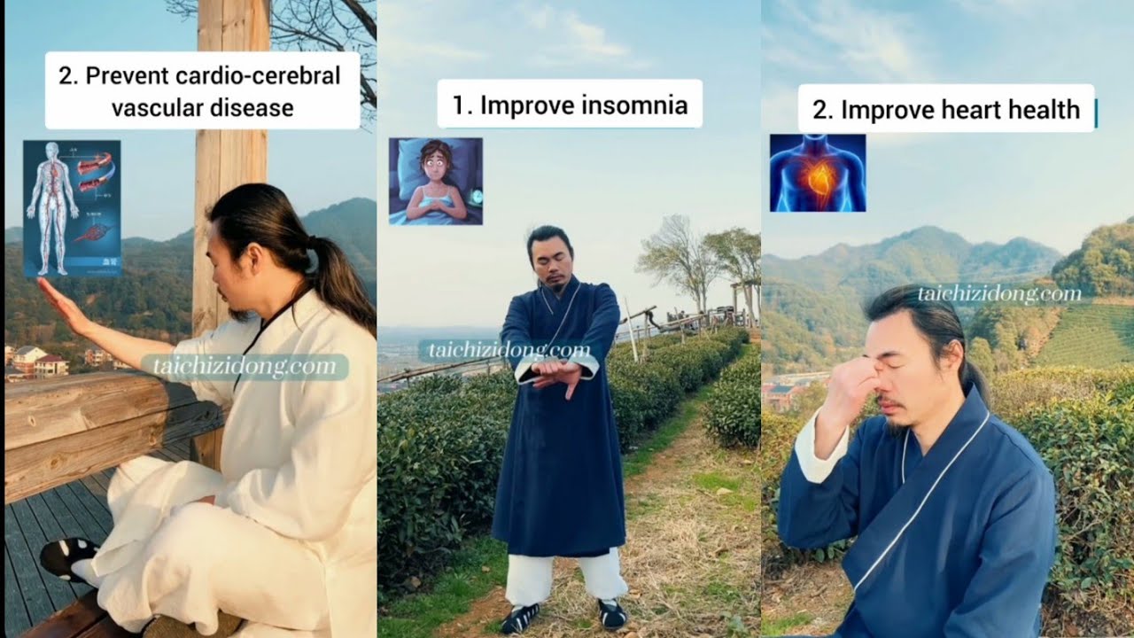 Improve heart health | improve insomnia | Tai chi exercise || Qi Gong | Wudang Zidong