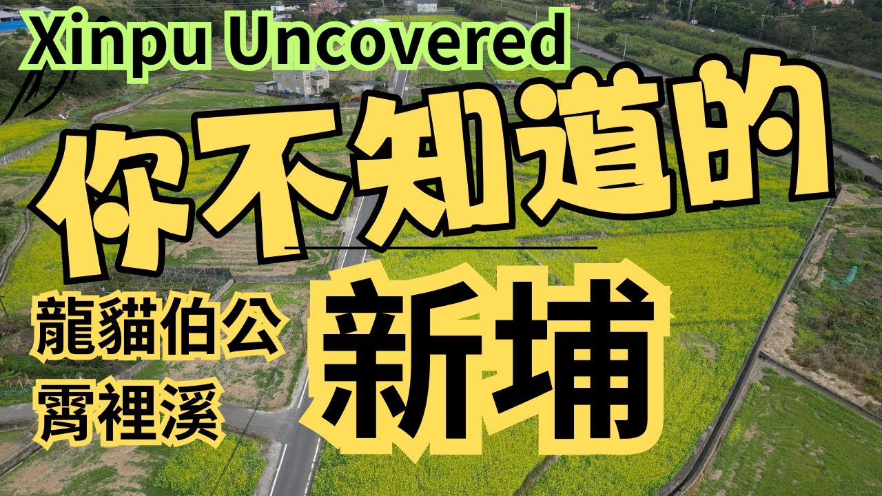 新埔鎮114年度花燈踩街盛大登場｜龍貓伯公｜馬賽克故事牆｜地景藝術｜霄裡溪自行車道 ｜油菜花｜三聖宮 ｜照門｜鹿鳴里｜Xinpu | Taiwan | Cycling | Pocket 3