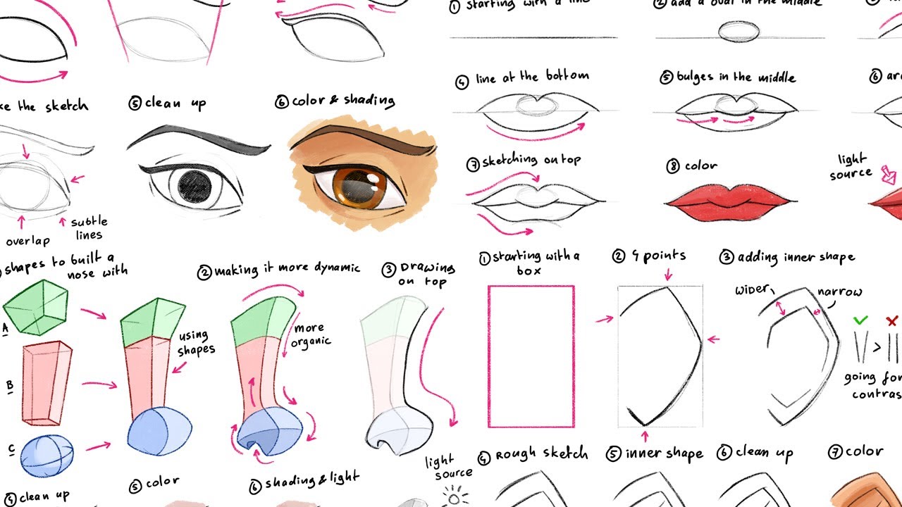 How to draw eyes, nose, mouth and ears