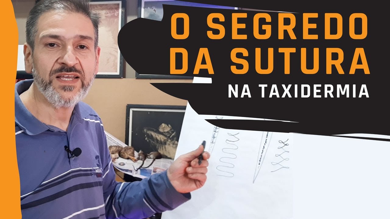 A melhor técnica de sutura para aplicar na taxidermia