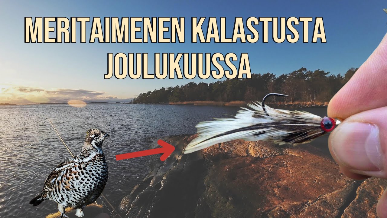 Meritaimenen Kalastusta Joulukuussa