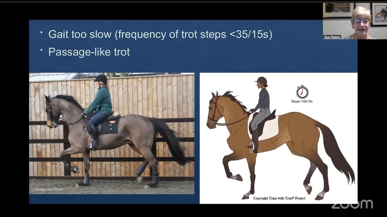 Live with Dr. Sue Dyson: Evaluating Soundness in Trot
