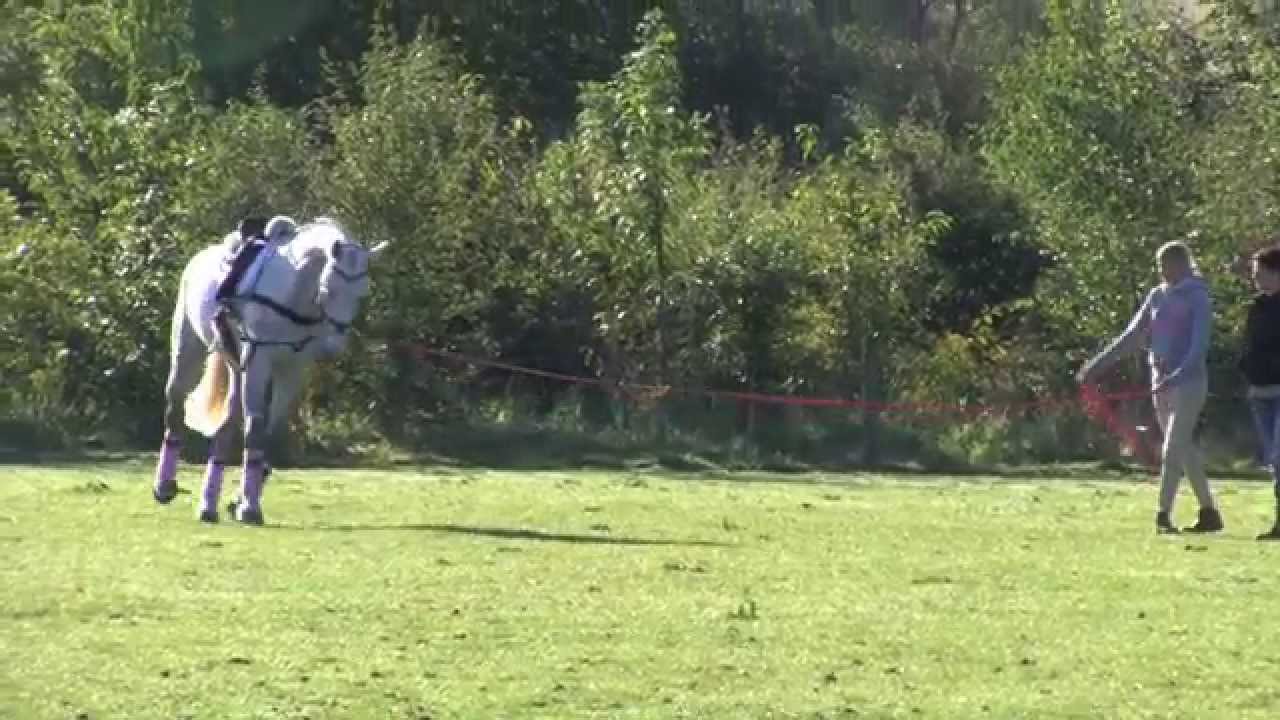 Brooksby Melton HT 2014