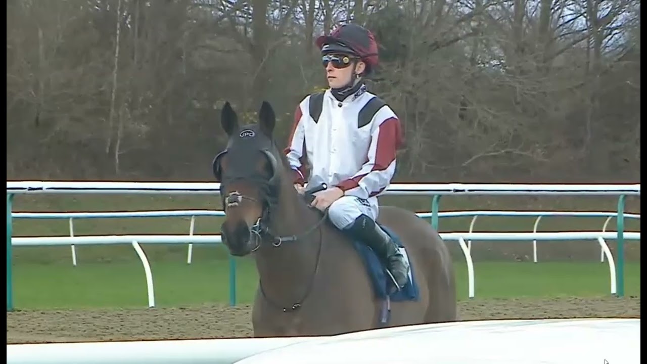 R5 LINGFIELD UK 28 FEB 2026