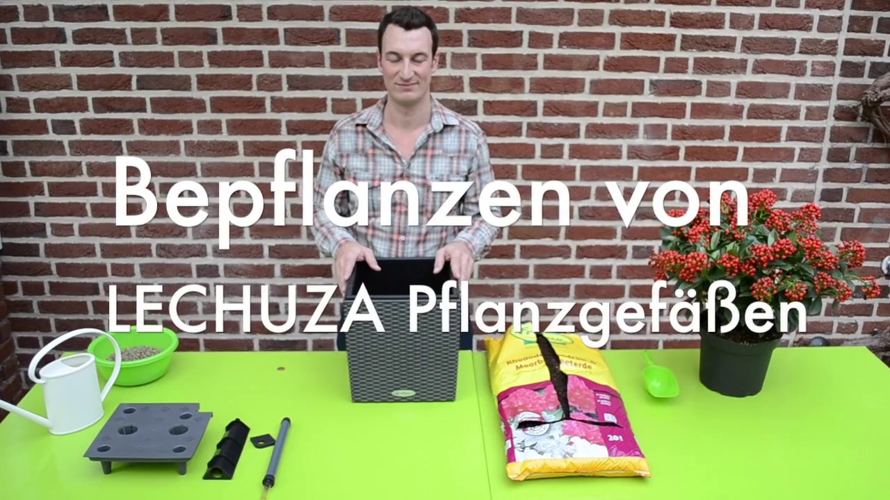 Bepflanzen von LECHUZA Pflanzgef&auml;&szlig;en - www.gartencenter-bestehorn.de