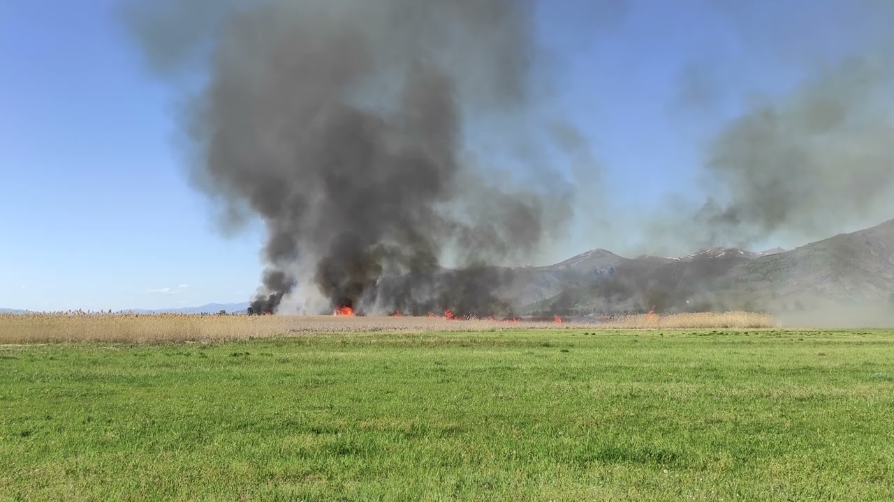 Wildfires in Prespa | Τι συμβαίνει με τις πυρκαγιές στην Πρέσπα;