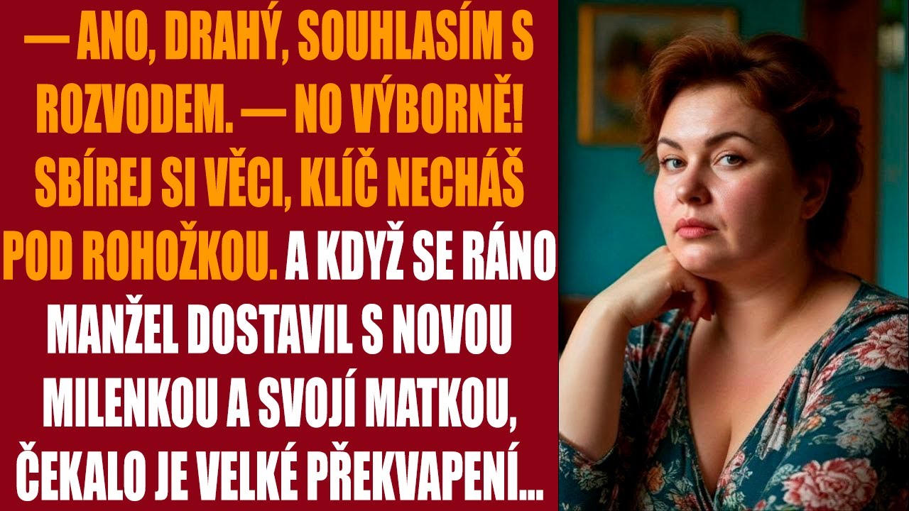 — Ano, drahý, souhlasím s rozvodem. — no výborně! Sbírej si věci, klíč necháš pod rohožkou. A když..