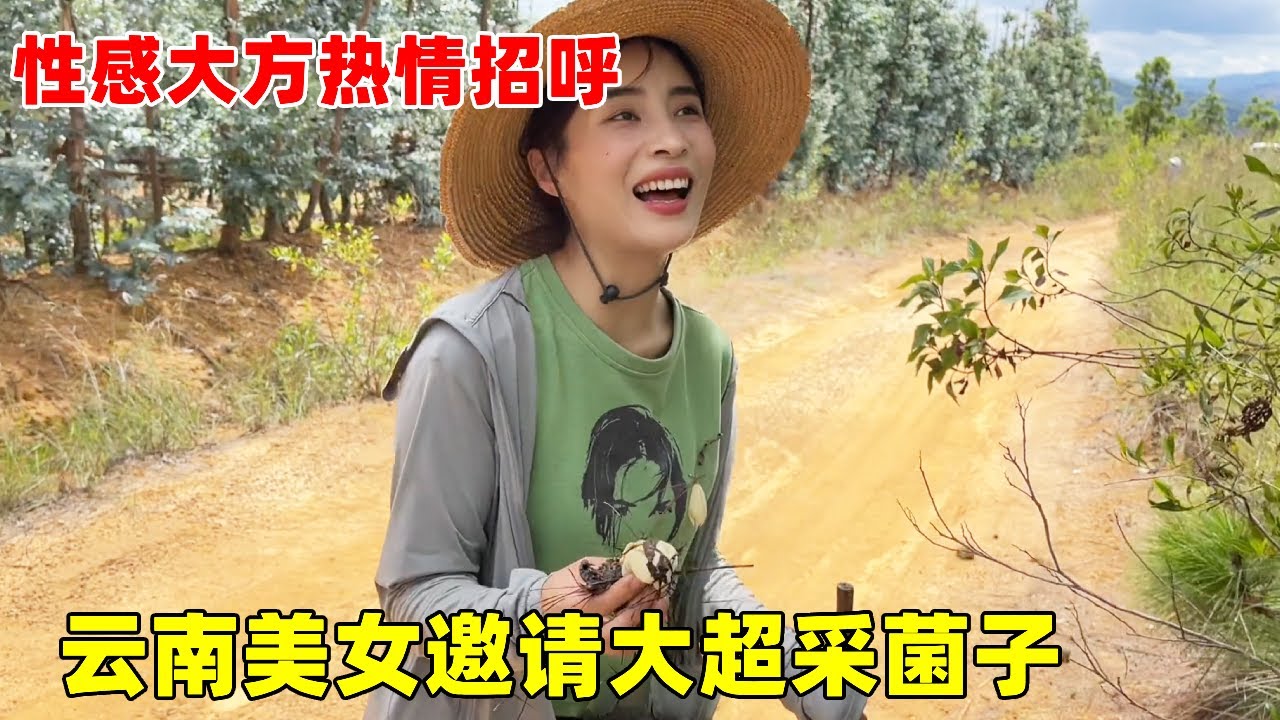 云南单身美女约大超上山采菌子，山珍美味太诱人，大超差点在山上“躺板板”【大超走四方】