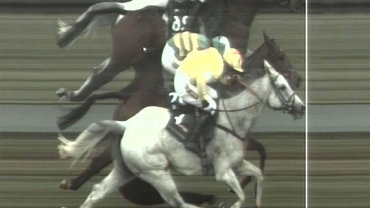 Watch the closest Grand National finish ever!