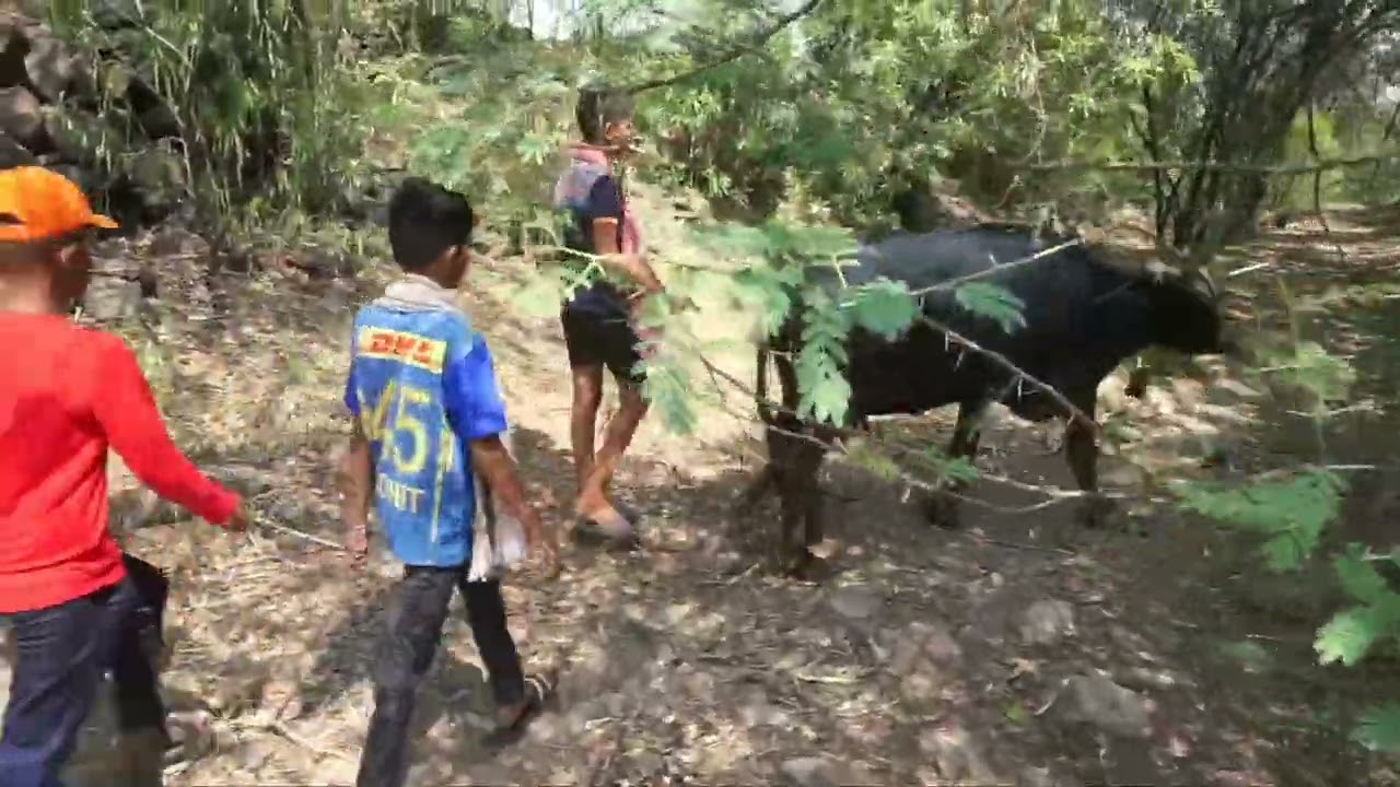 गावाकडील मुले