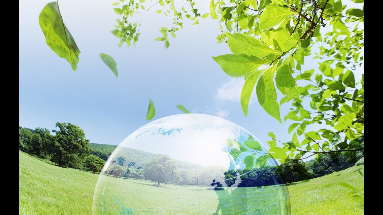 CONSCIOUSNEWS® | Le Biomimétisme | CEEBIOS
