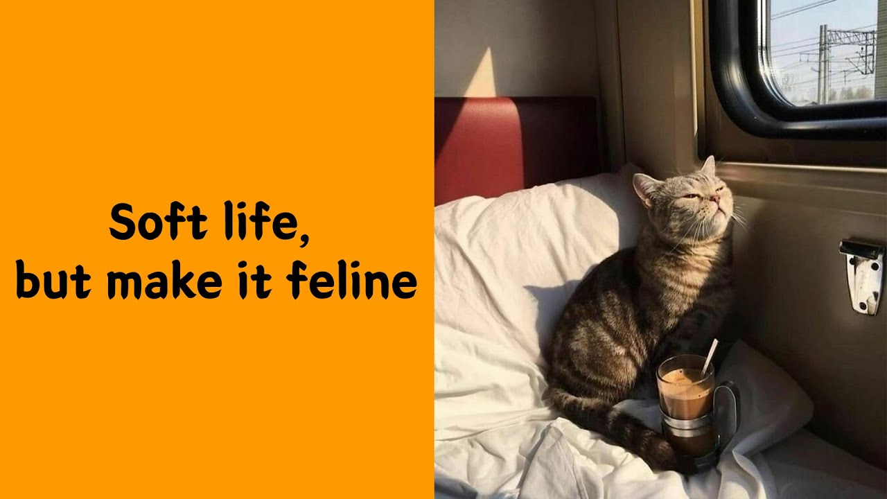 50 Animals Who Clearly Do Whatever They Want