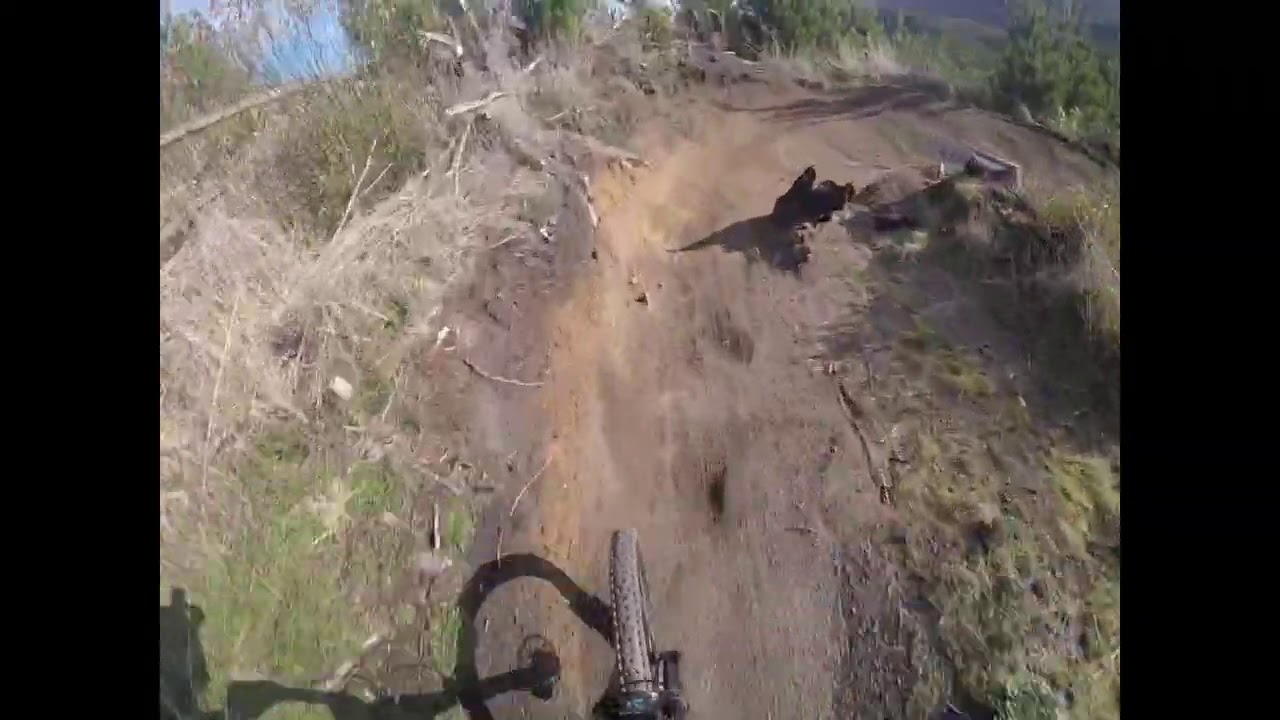 Split Enz  || the longest downhill trail in Redwoods, Rotorua