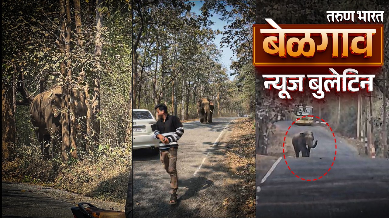 बेळगाव न्यूज बुलेटिन | Belgaum News Bulletin | 19-02-2026