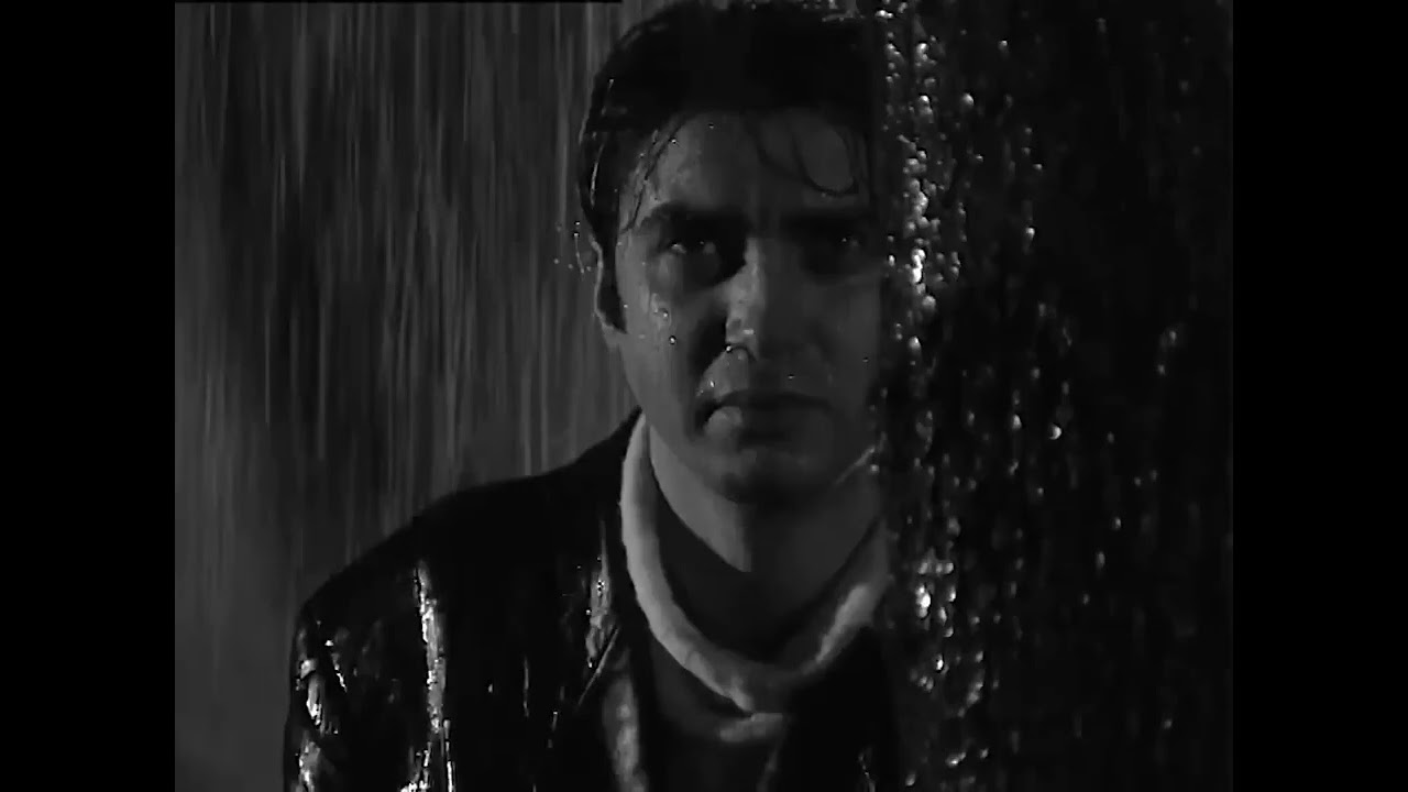 #polatalemdar #elifdedim#kurtlarvadisi #elif #turkey #rek 