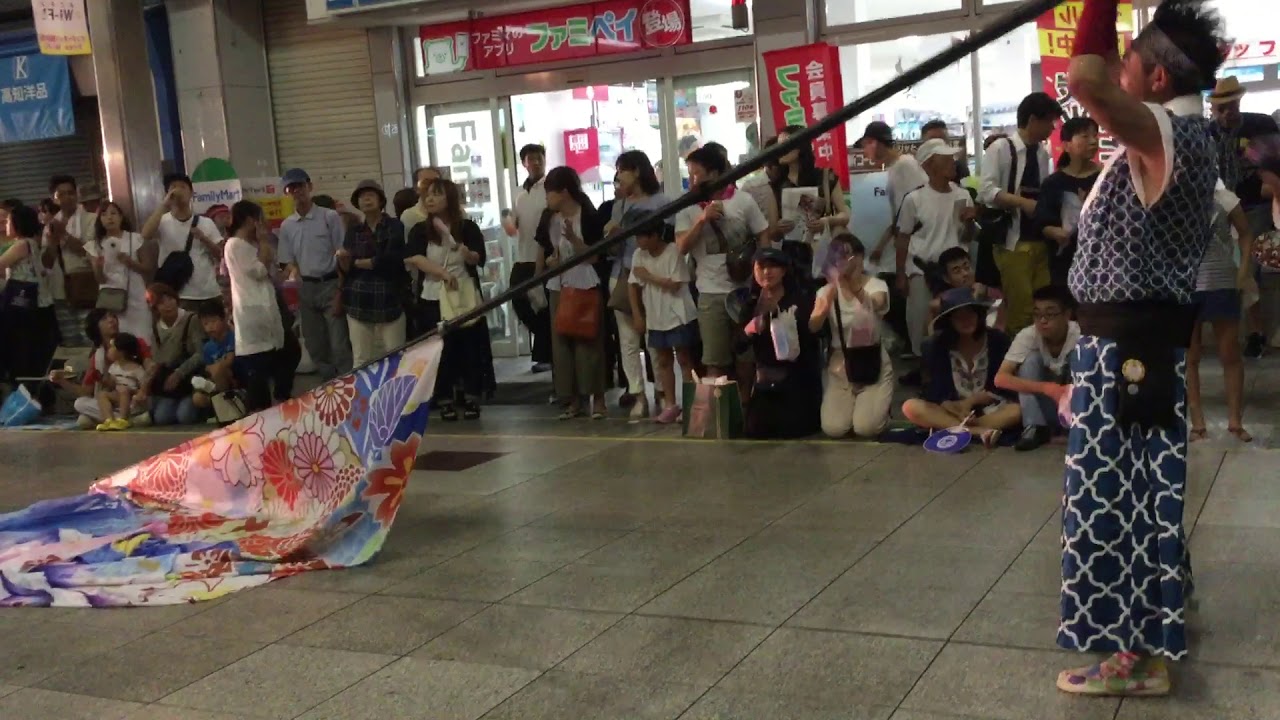 よさこい旗     葵      よさこい全国大会2019    さあ振り上げるかと思いきや、お茶目に歌う旗手さんがステキ☺️🌸