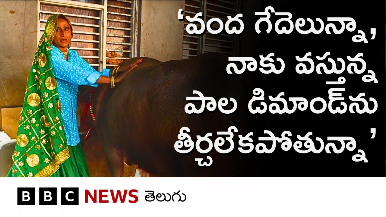 Transgender‌గా ఉన్న స్వీటీ తనకెదురైన అవమానాలు అధిగమించి పాడి పరిశ్రమలో ఎలా విజయం సాధించారంటే..