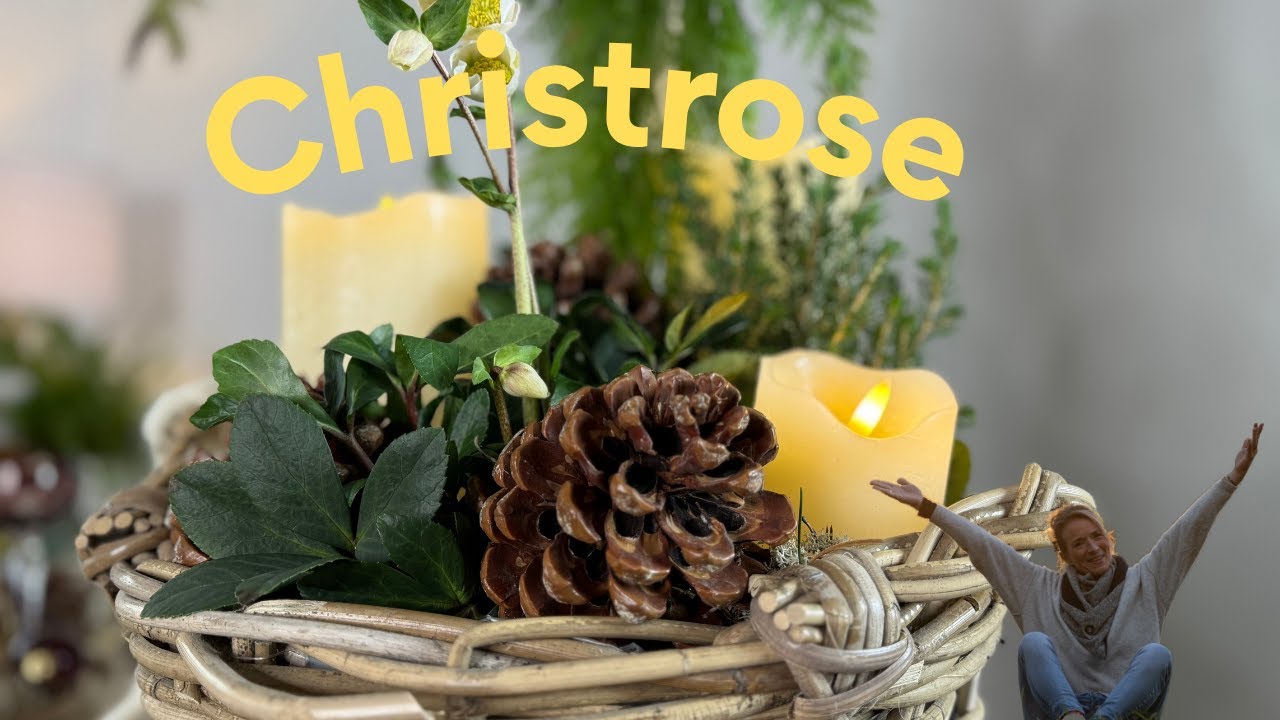Christrose in Szene gesetzt 🎄 DIY Bäumchen im Lichterglanz 🎄