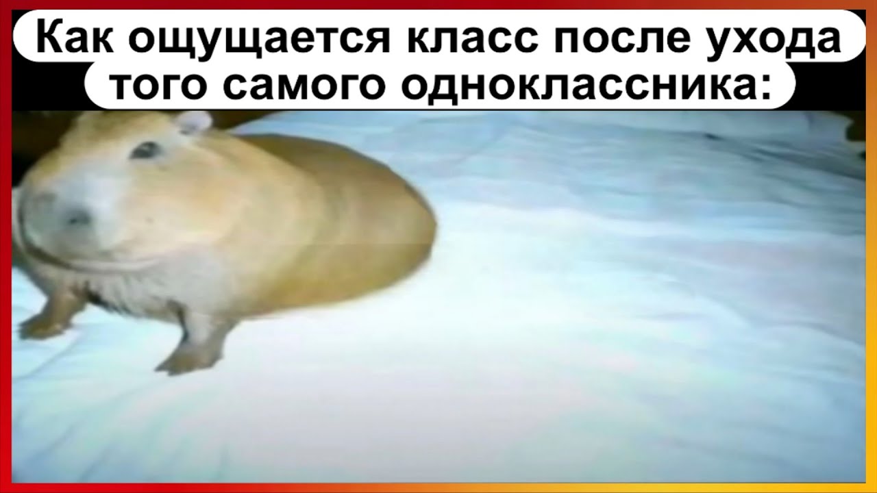 Тик ток в классе | Подборка мемов 