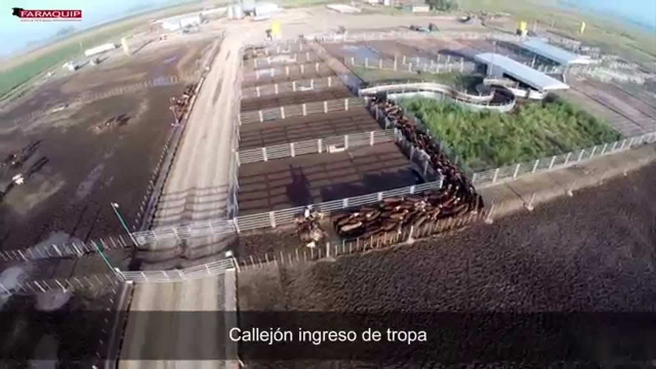 Farmquip - Especialistas en instalaciones para Feedlot