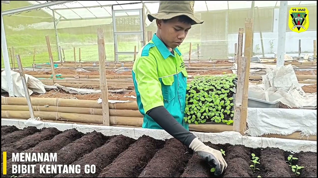 PENGALAMAN PKL DI HALO TANI 99
