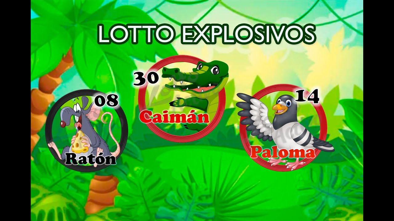 JUEVES 14-11-2024 DATOS LOTTO ACTIVO, GRANJITA, GUACHARO, SELVA PLUS, GRANJA MILLONARIA Y MAS...