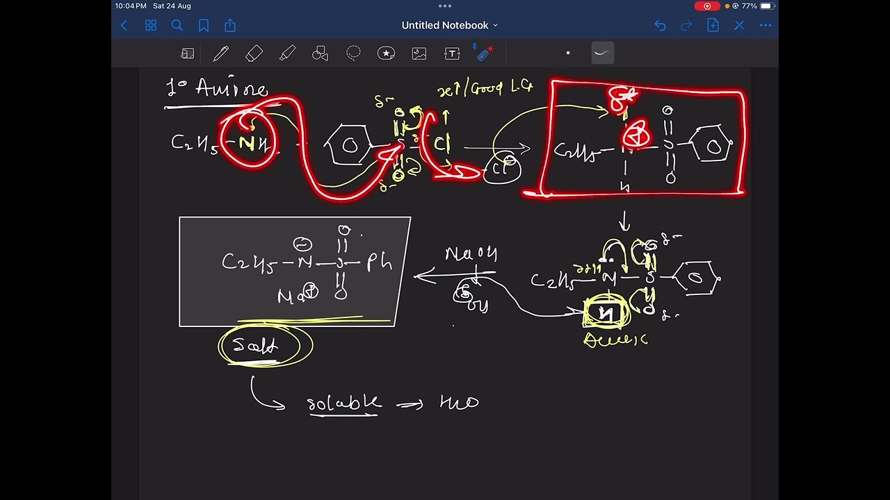 Hinsberg test for amine | reaction with aryl sulphonyl chloride