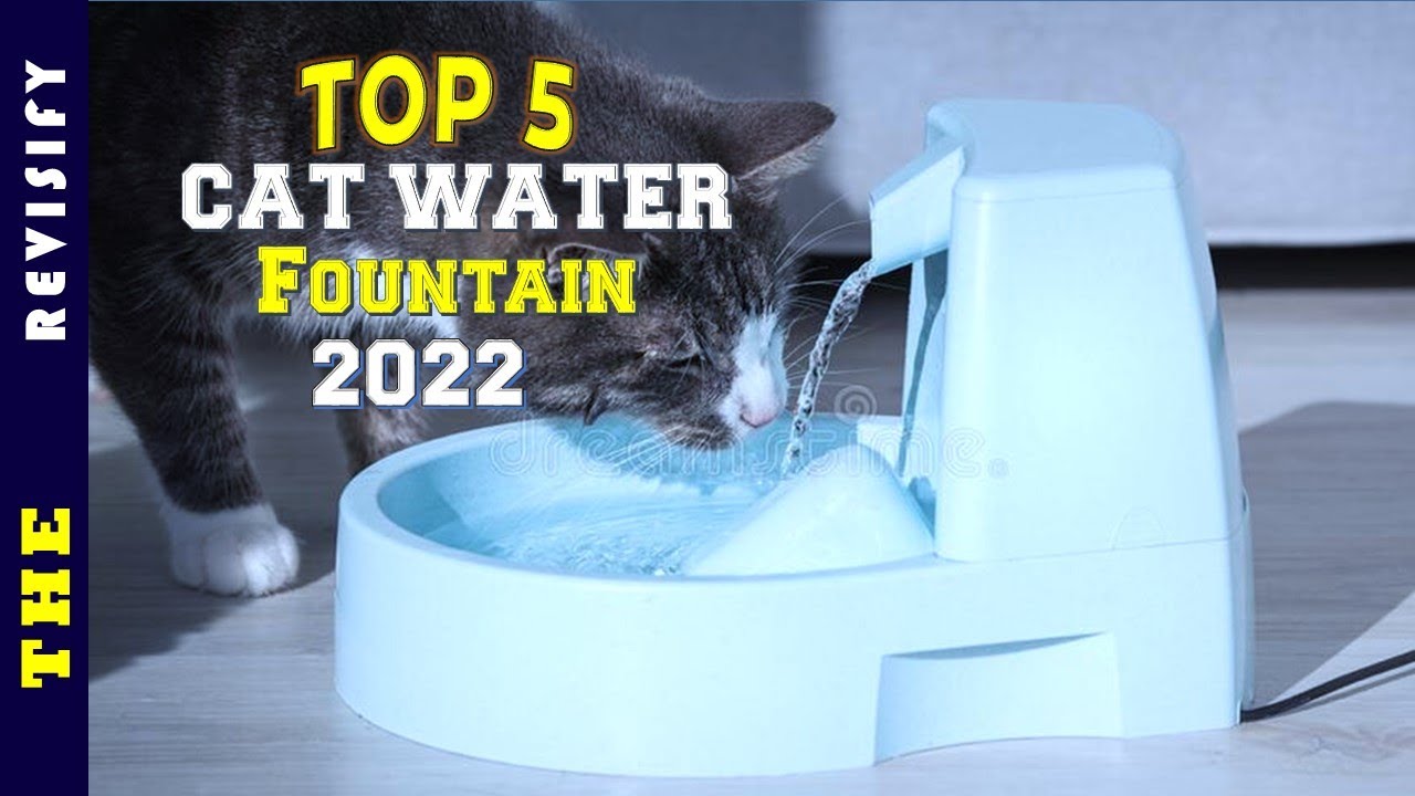 ✅ Top 5: Best Automatic Cat Water Fountain Easy To Clean 2022 [Tested & Reviewed]