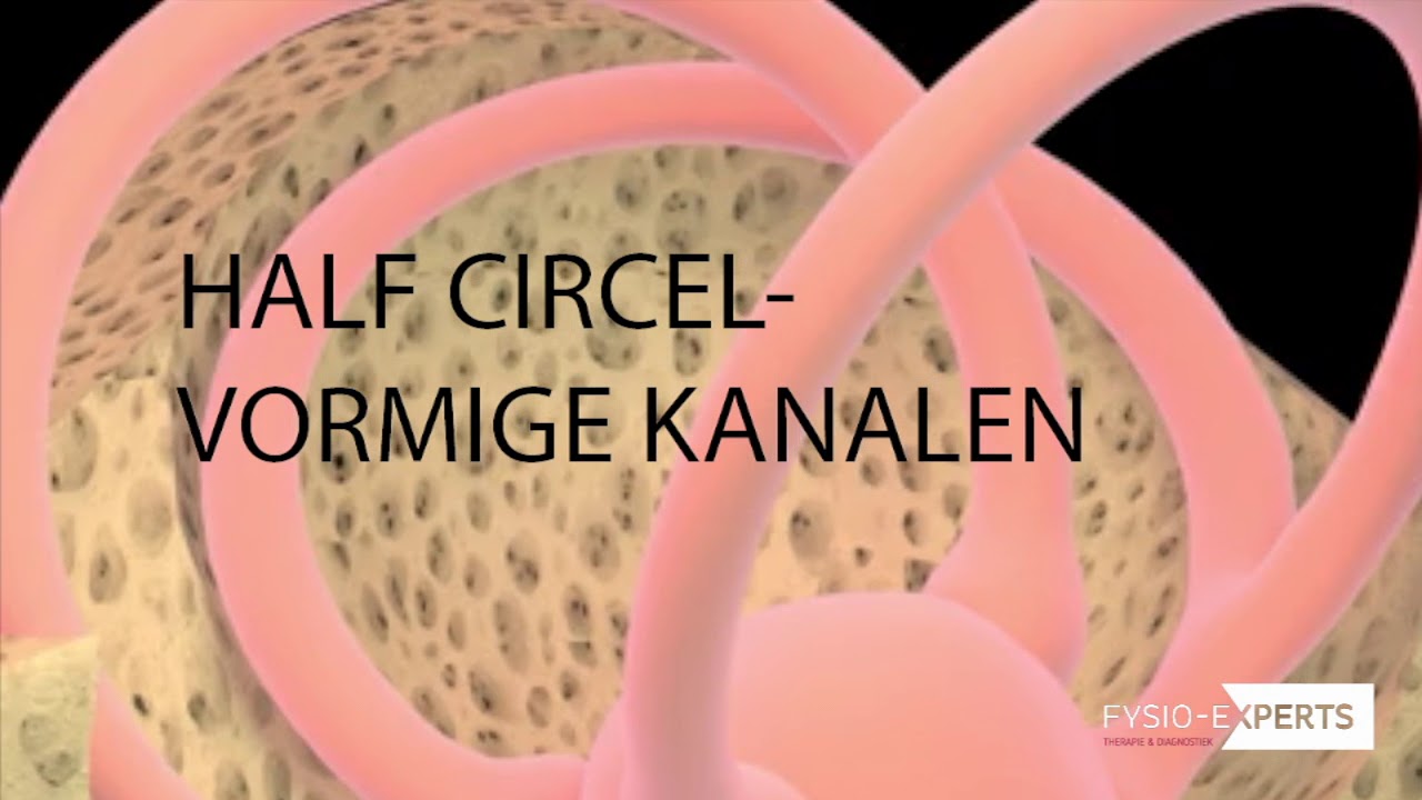 Wat is BPPD (draaiduizeligheid)?