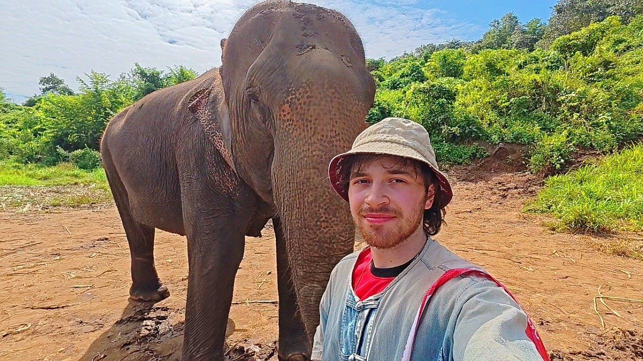 I Visited an Elephant Sanctuary in Northern Thailand