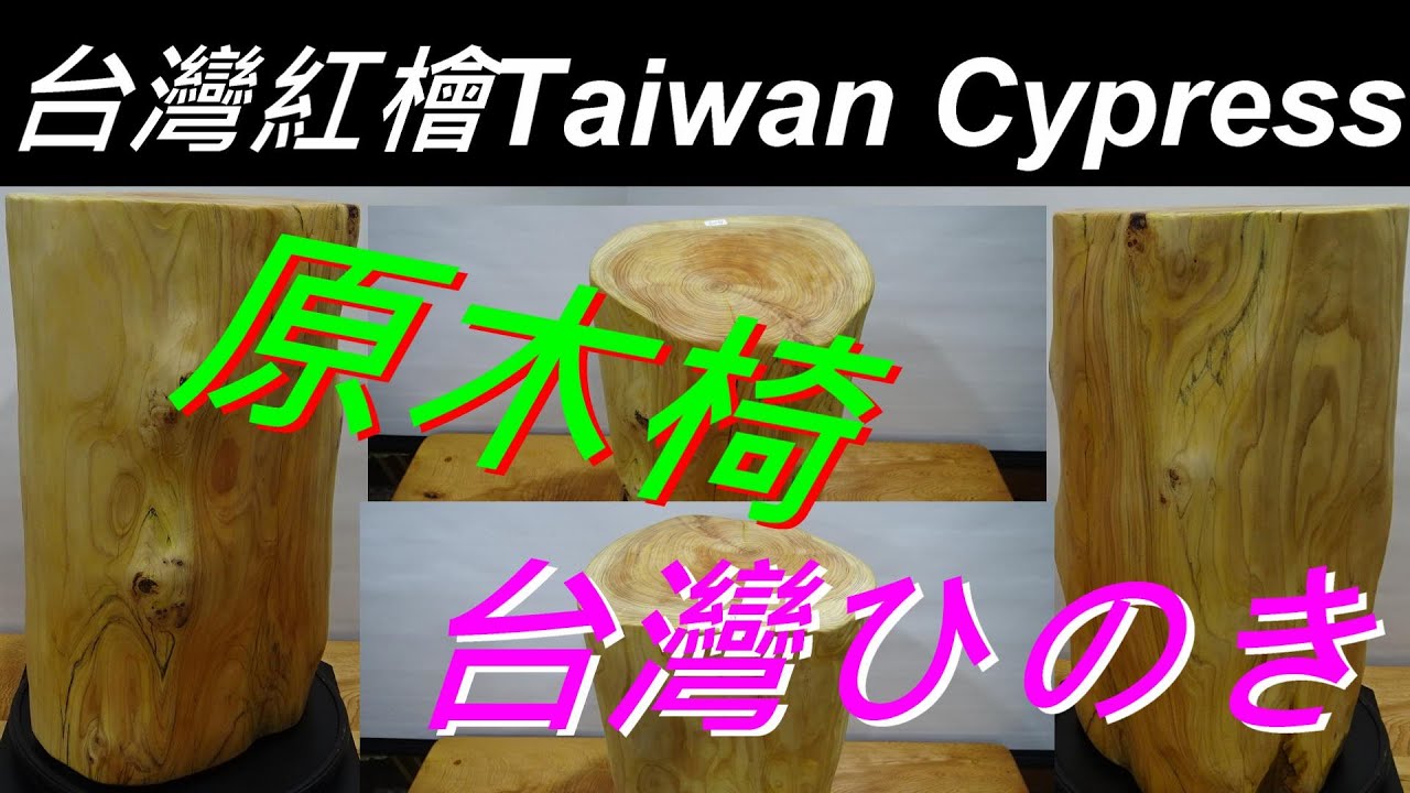 【A003】原木椅/柱 【 台灣紅檜木】台灣ひのき Taiwan Cypress  台湾檜ヒノキ Hinoki 【
