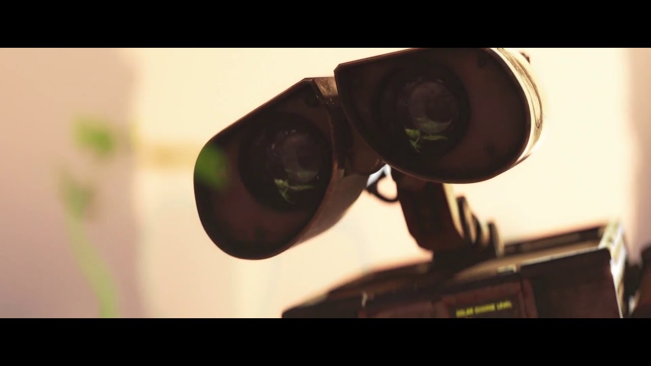 WALL-E Finds the last plant in the world