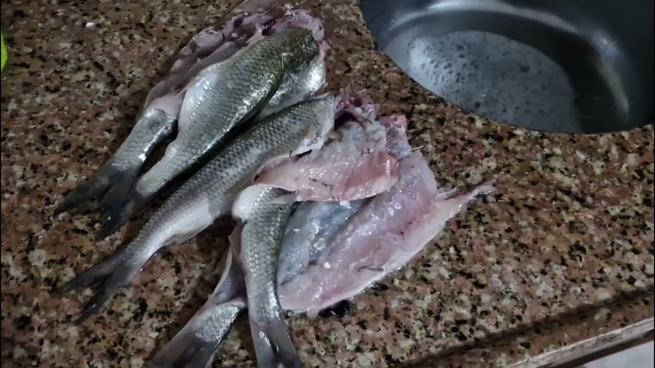 4 Günde Kocaeli Kandıra Efsanesi... Kesinlikle görmeye değer...