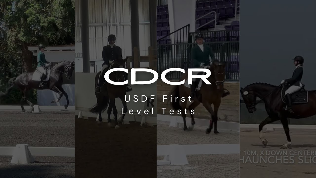 Тесты первого уровня USDF | Обзор тренера по классической выездке | Тесты по выездке