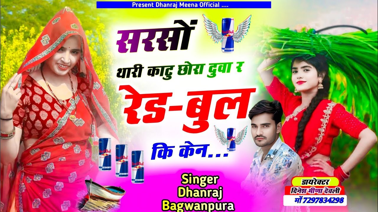 सरसों कटाई मीणा सोंग// सरसों थारी काटु छोरा दुवा र रेड-बुल कि केन//सिंगर धनराज मीणा भगवानपुरा 