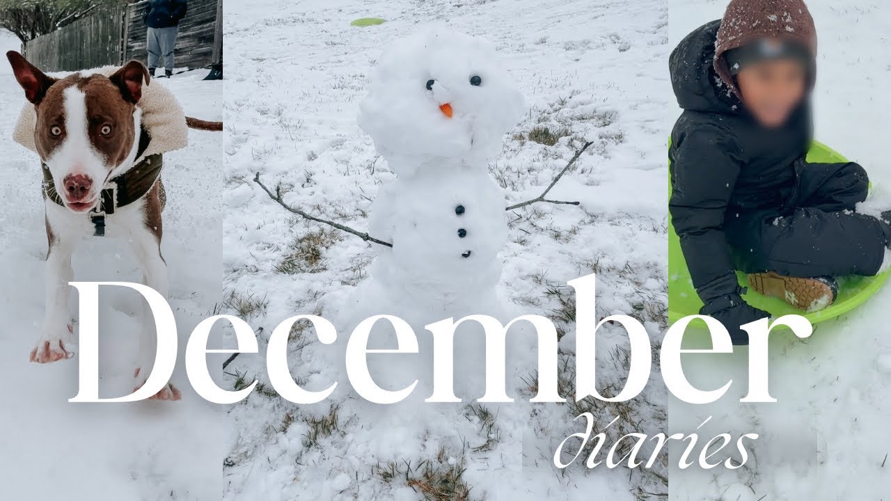 December Diaries | Snow Day , Finally Feeling Like Christmas | Two Mom Family