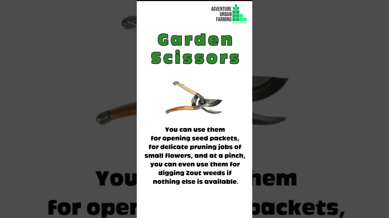 What garden tools do I need for my garden | How to use gardening tools
