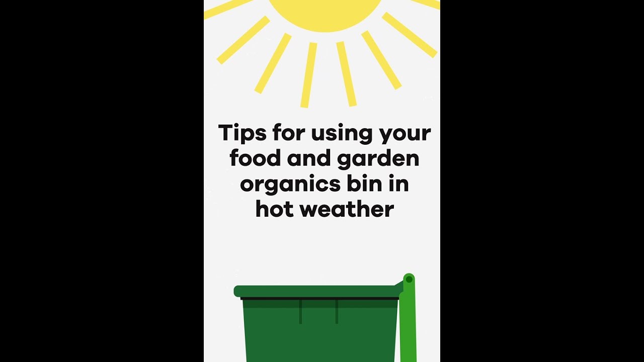 Beat the heat: How to use our Food and Garden Organics bin in hot weather