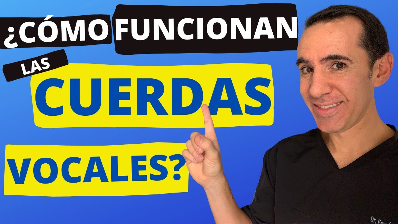 Cómo funcionan las cuerdas vocales (movimiento en vivo y cantando)