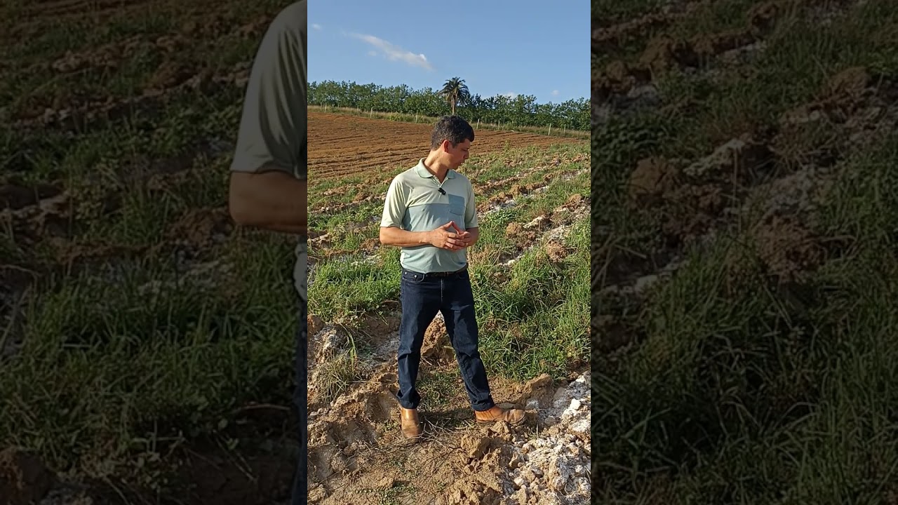 Café Conilon - Vídeo 1 - Preparo do solo para o plantio.