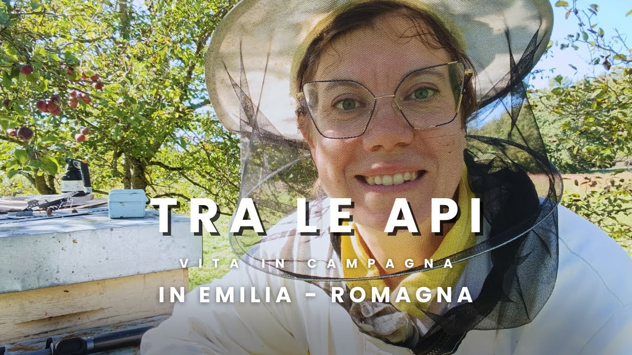 Tra le api | Vita delle Api, la Regina e la Propoli 🐝